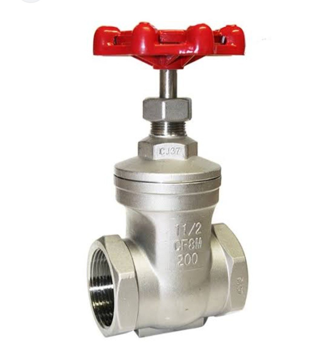 Stainless Steel 316 Gate Valve